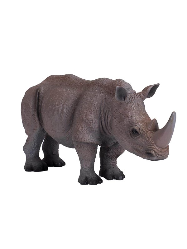 Mojo - Wildlife White Rhino