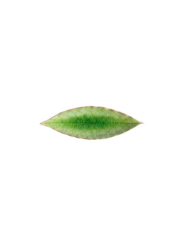 Costa Nova Asiet bay leaf Riviera 18 x 5.7 cm Green/Black Ceramic