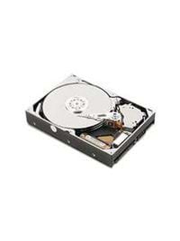 IBM - 1TB - Harddisk - 81Y9691 - SAS2 - 2.5"