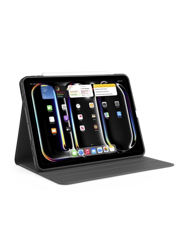 Pipetto iPad Pro 13 (2024) Rotating Folio Case - Black