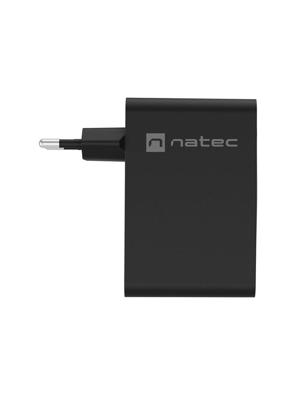 Natec Ribera power adapter - GaN - USB 3 x USB-C - 100 Watt