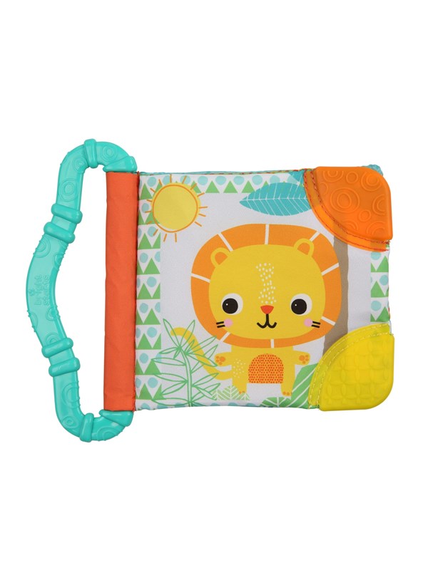 Bright Starts Teething &amp; read