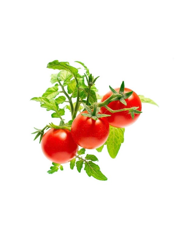 Click &amp; Grow Click and Grow - Smart Garden Refill 3-pack - Mini Tomato (SGR5X3)