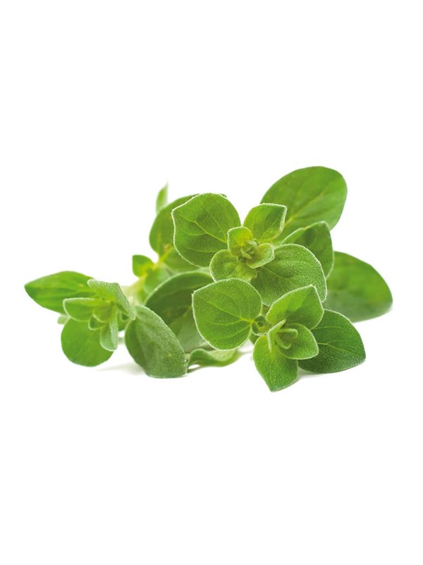Click &amp; Grow Click and Grow - Smart Garden Refill 3-pack Oregano