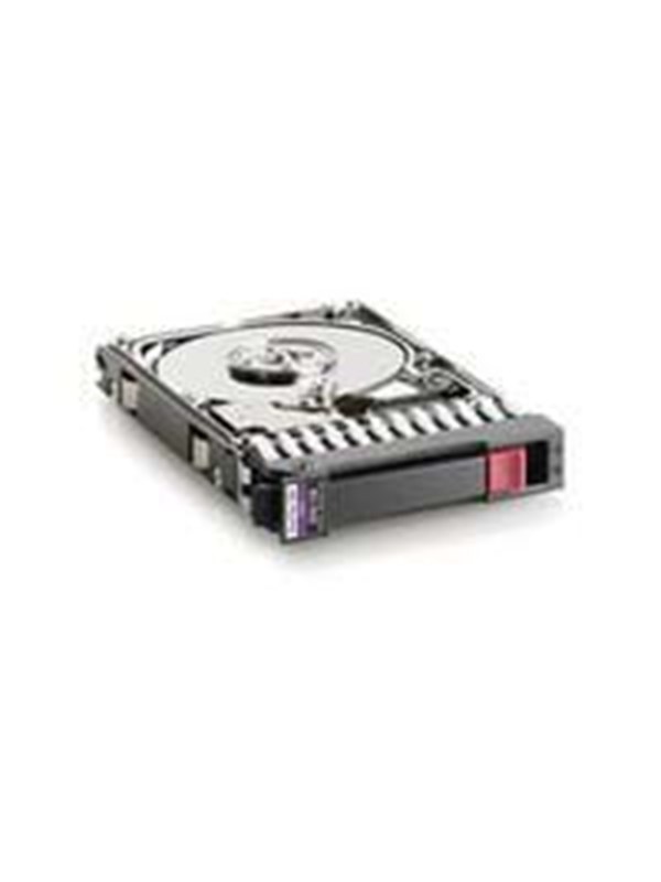 HP Dual Port - 300GB - Harddisk - 493083-001 - Serial Attached SCSI - 2.5"