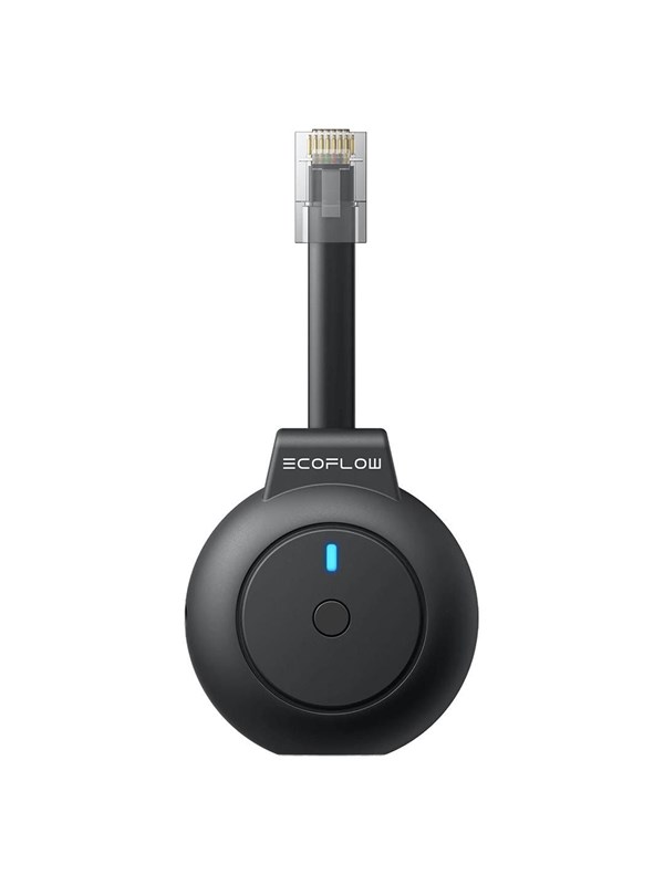 EcoFlow P1 Dongle Smart Meter