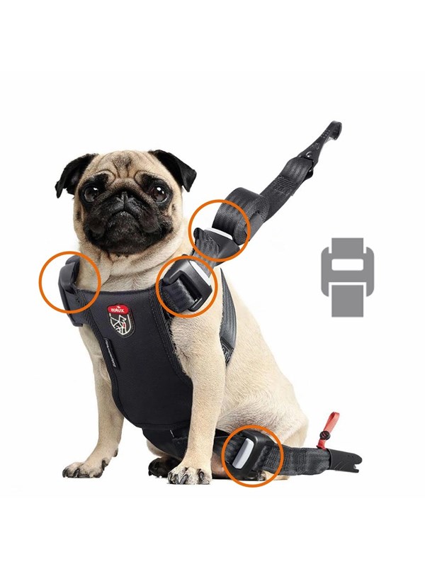 Zolux Travel Safe Isofix Car Safety Harness Red Medium 14-26kg