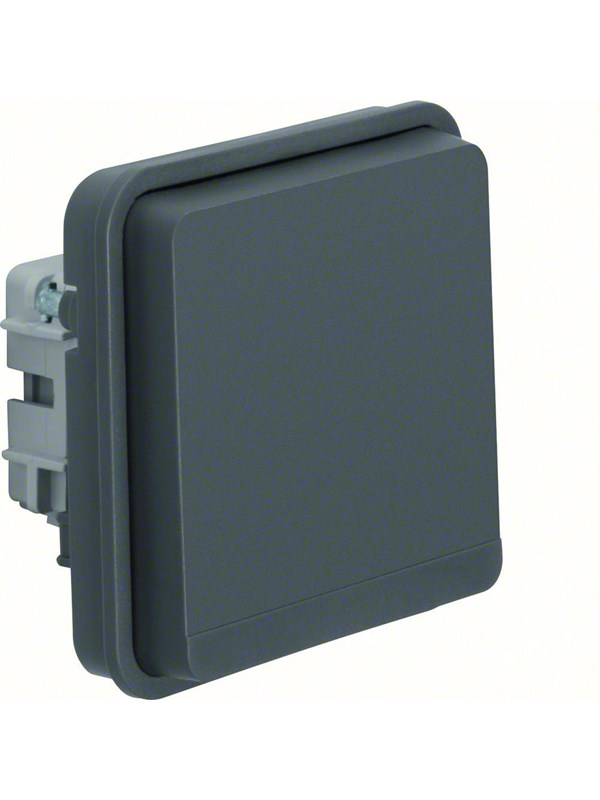 Berker Schuko scoket outlet insert with hinged cover