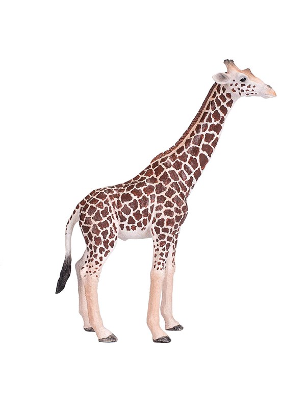 Mojo Wildlife Giraffe Male