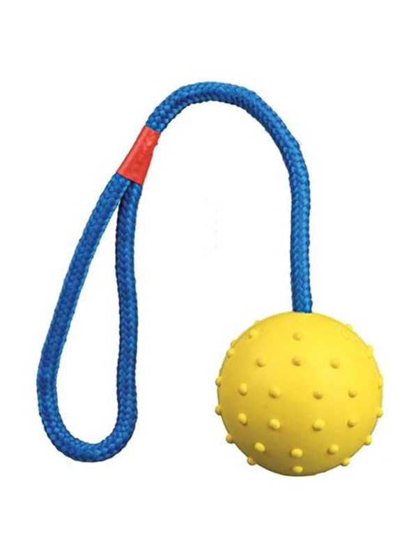 Trixie Ball on a Rope ø6cm assorted colours