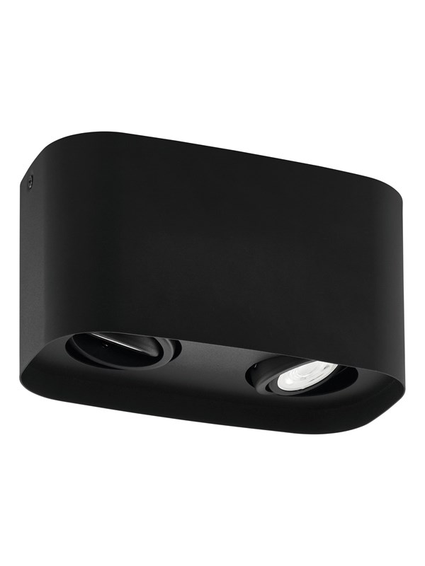 EGLO CAMINALES-Z ceiling lamp 2L black