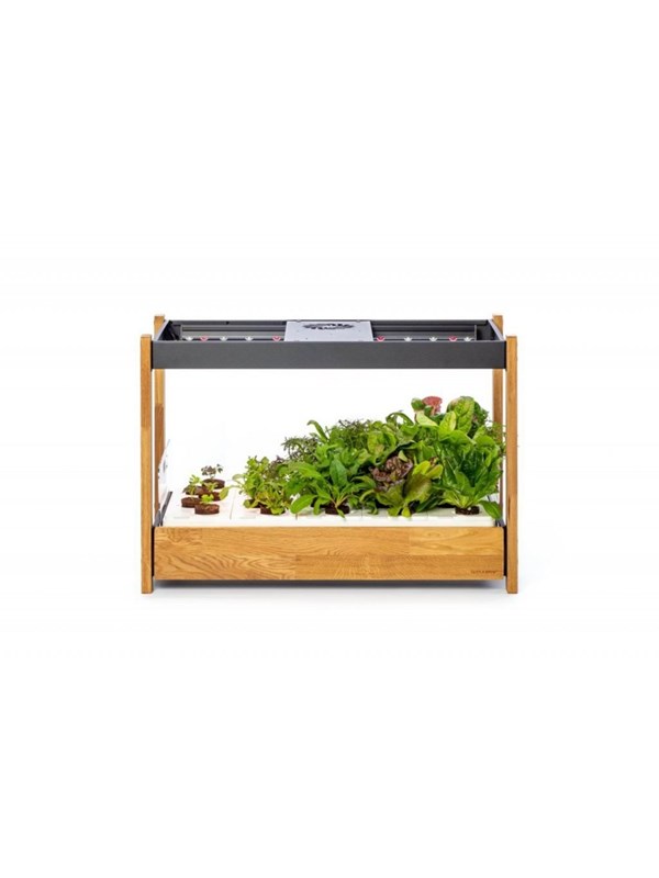 Click &amp; Grow Click and Grow 25 - Black (Salad Greens 54x pack)
