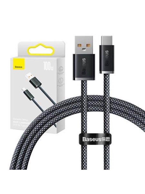 Baseus Cable USB to USB-C  Dynamic Series 100W 1m (grey)