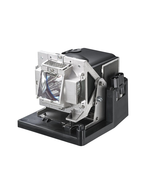 Vivitek D795WT - projector lamp