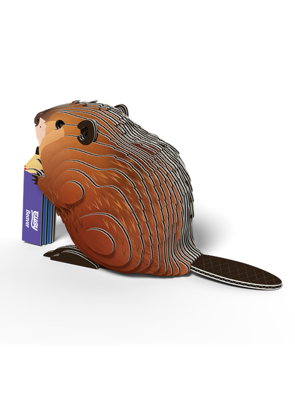 Eugy Beaver