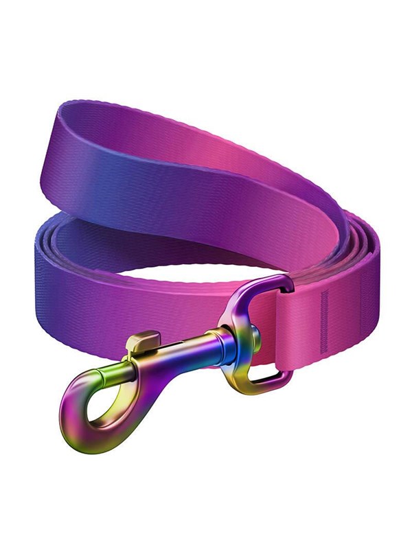 Waudog gradient nylon dog leash 20mm wide 122cm