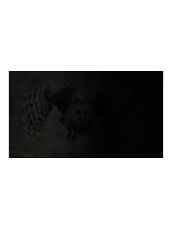 Natec OWL notebook privacy filter