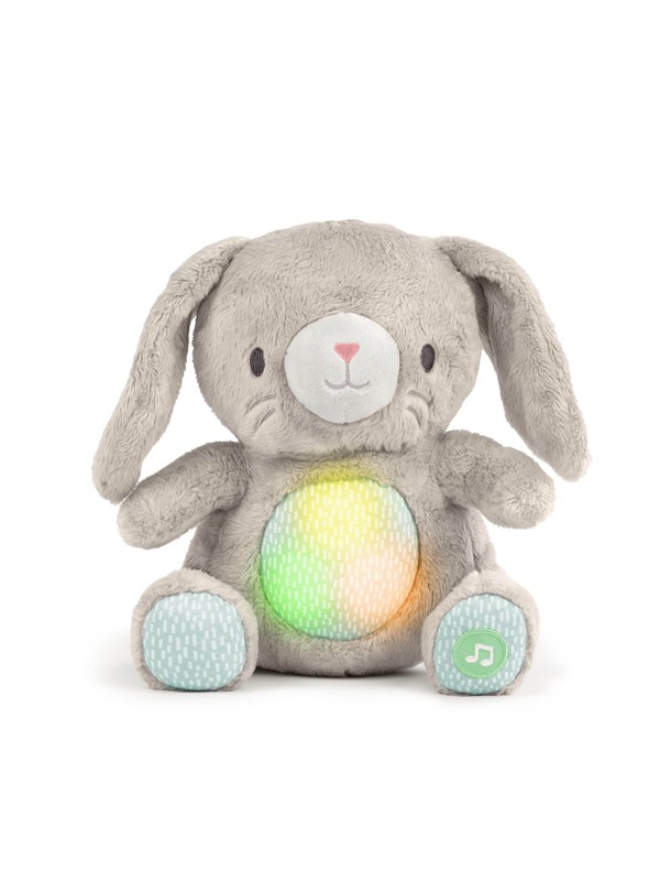 Ingenuity Heart to Hugs™ Sylvi™ Soothing Plush Toy