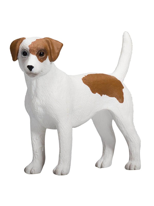 Mojo Farmland Jack Russell Terrier