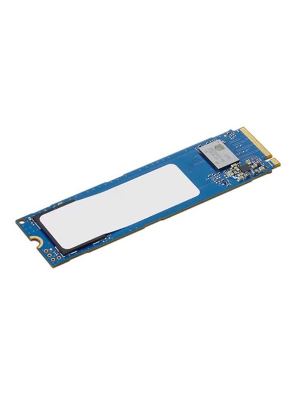 Lenovo II - SSD - 256 GB - PCIe 4.0 (NVMe)