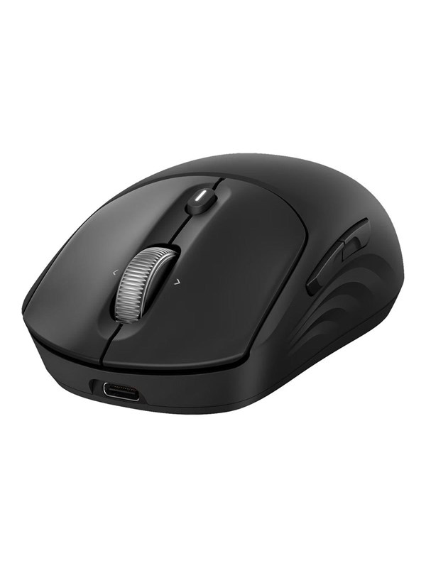 HP 705 - Mus