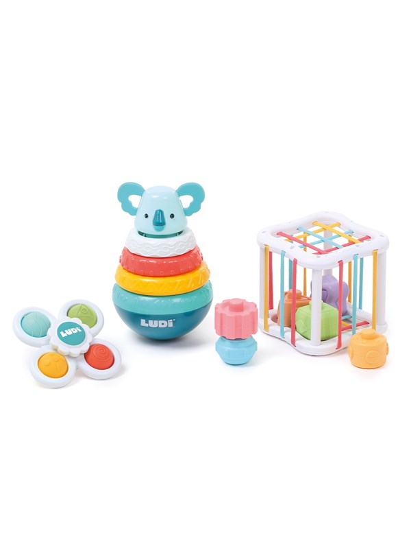 LUDI Box with Motor Skill Toys