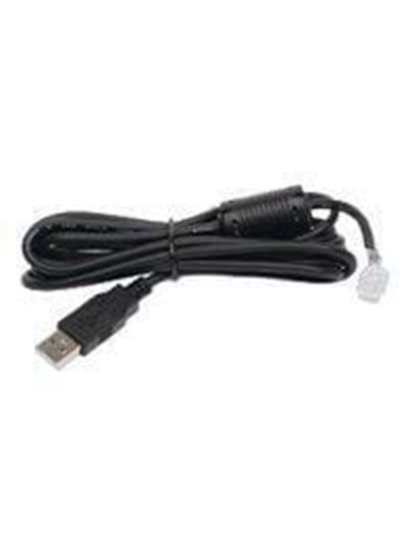 APC Cable/USB Akeyed 10p10c RJ w/Core