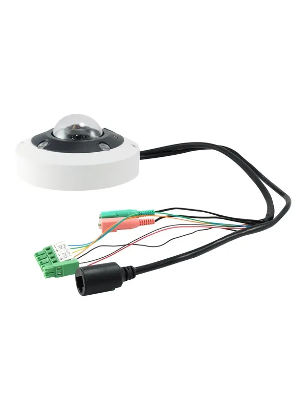 LevelOne FCS-3095 - panoramic camera - dome